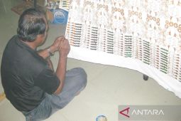 LIPSUS - Kotabaru kembangkan sasirangan motif kearifan lokal