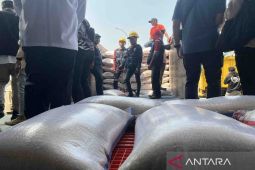 Relaksasi HET beras diperpanjang hingga terbit Perbadan