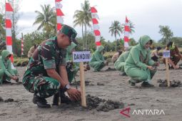 Satgas TMMD Kodim Nagan Raya tanam 500 Mangrove di pesisir pantai, ini tujuannya