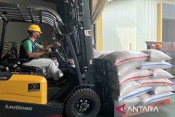 Biaya produksi faktor penyebab harga gabah dan beras mahal