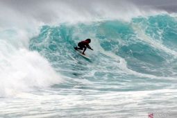 Ajang WSL Krui Pro momen tingkatkan pariwisata di Pesisir Barat