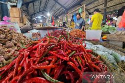 BPS: Papua Barat mengalami inflasi 4,56 persen pada Mei 2024