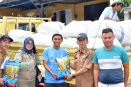 Dinas Pertanian Rejang Lebong bagikan 37,2 ton bibit padi unggul