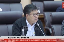 Kementerian ESDM ajukan subsidi listrik 2025 hingga Rp88,36 triliun
