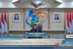 Pada Mei 2024, ekonomi Indonesia alami deflasi 0,03 persen