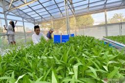 OCFI: Perlu dibentuk lembaga khusus pengelola dana iklim daerah