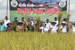Pemprov Jambi terima dana optimasi lahan Kementan Rp68 miliar