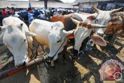 Jelang Idul Adha 1445 Hijriah, Pemkot Medan lakukan persiapan