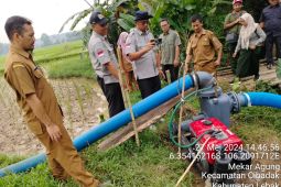 Perluas areal taman, Pemkab Lebak optimalkan irigasi dan pompanisasi