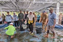 Pemkab Tabalong libatkan warga Desa Pugaan kembangkan benih ikan gabus