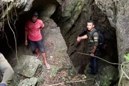 Puluhan kambing mati diserang satwa liar di Karawang