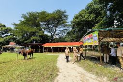 BSIP bersama Pemkot Bogor memfasilitasi peternak jual hewan kurban di BHQ