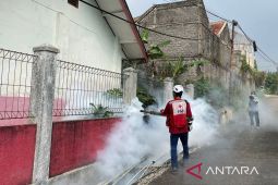 Dinkes Cianjur gencarkan gotong royong berantas sarang nyamuk