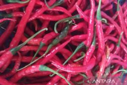 Inflasi periode Mei di wilayah kerja BI Pematangsiantar terkendali