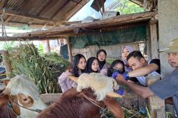 Dispertan Banyuwangi periksa kesehatan hewan kurban menjelang Idul Adha
