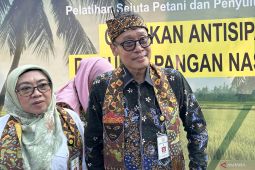 Kementan optimistis kekurangan pasokan beras terpenuhi
