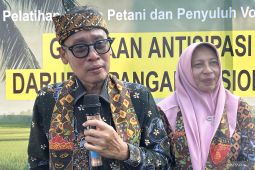 Kementan RI optimalkan peningkatan produksi beras