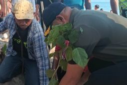 BRIN gandeng swasta kembangkan tanaman malapari perkuat ketahanan energi nasional