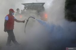 Demam berdarah sembuh hanya dengan jus daun pepaya, benarkah?