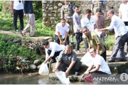 Belasan ribu bibit ikan ditebar Pemkab Tapsel di Lubuk Larangan