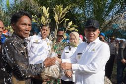 Pj Bupati Langkat ajak warga jaga hutan mangrove