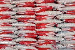 Bulog Belitung perkuat stok hadapi Idul Adha 1445 Hijriah
