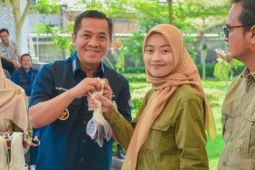 Pemkab Karawang sebar ratusan petugas pemeriksa hewan kurban jelang Idul Adha
