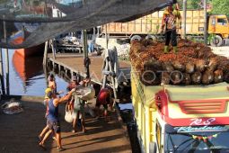 Kadin Mukomuko minta Pemda revisi MoU perusahaan sawit