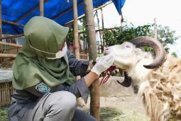 Pemkab Lumajang jamin ketersediaan hewan kurban untuk Idul Adha