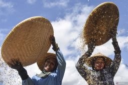 Indonesia halts rice, sugar, corn imports in 2026