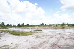 Pemerintah tetapkan tim percepatan reklamasi lahan kritis di Bangka Belitung