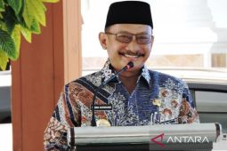 Situbondo siapkan Rp200 juta untuk pertanian organik
