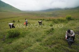 BB-TNBTS gelar aksi bersih sampah di kawasan Bromo tingkatkan edukasi