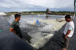 DKP minta PLN stabilkan listrik untuk kawasan industri perikanan Lampulo
