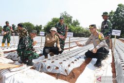Menteri AHY tanam bawang bantu ketahanan pangan nasional