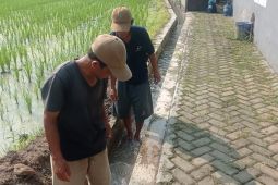 Kementan bantu pompa untuk perkuat produksi pangan di Lebak