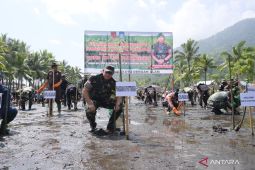 Kodam Pattimura dan masyarakat Halmahera Utara tanam 1.000 anakan mangrove