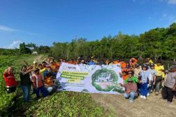 NHM berkomitmen jaga kebersihan lingkungan di areal tambang lewat bakti lingkungan