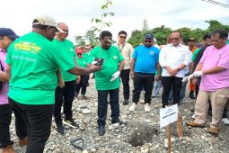 Pemkab Mimika: Penanaman pohon untuk lestarikan lingkungan
