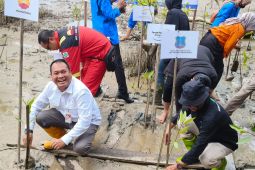 Tanam 35.000 Pohon Mangrove di Pangkal Babu, Masyarakat dan Pemuda Pesisir Apresiasi SKK Migas - PetroChina