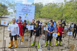 Libatkan Komunitas dan Pemuda Pesisir, SKK Migas - PetroChina Tanam 35.000 Pohon Mangrove di Pangkal Babu