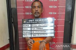Coba melarikan diri, pencuri kereta didor di kaki