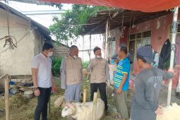 Tim Satgas Pangan Polres Serang monitoring pengecekan hewan kurban