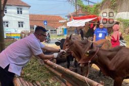 Disnakeswan Lebak temukan hewan kurban yang sakit mulut dan mata