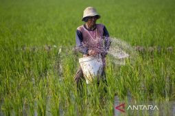 Rencana pembaruan data penerima pupuk subsidi