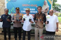 Warga Banda Aceh diminta gemar tanam cabai upaya tekan inflasi