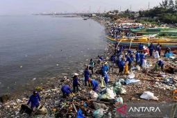 Sejarah Hari Laut Sedunia, momentum mengenang kehidupan di laut