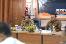 Babel bekerja sama dengan Jabar tingkatkan stok bawang dan cabai