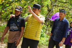 Pemkab berupaya angkat kembali kejayaan kakao di Koltim