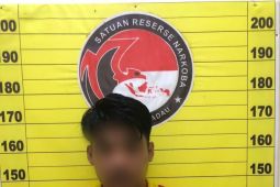 Satresnarkoba Polres Sekadau ungkap kasus tindak pidana narkotika